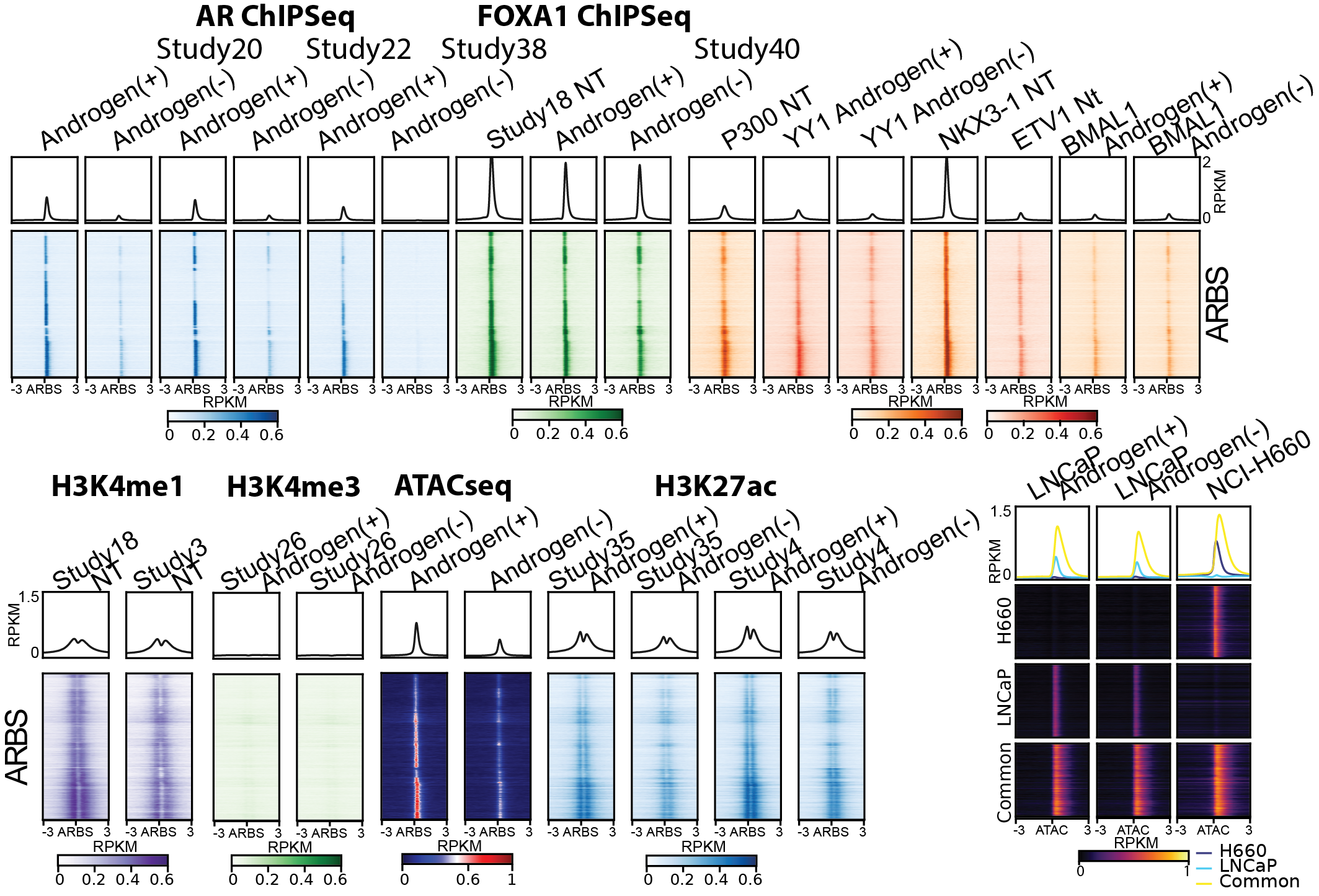 LNCaP-ADT Analysis Interface